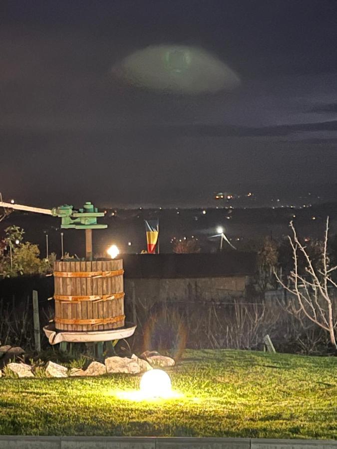 Caravans Park & Glamping Tents In The Vineyard Villa Turda Luaran gambar