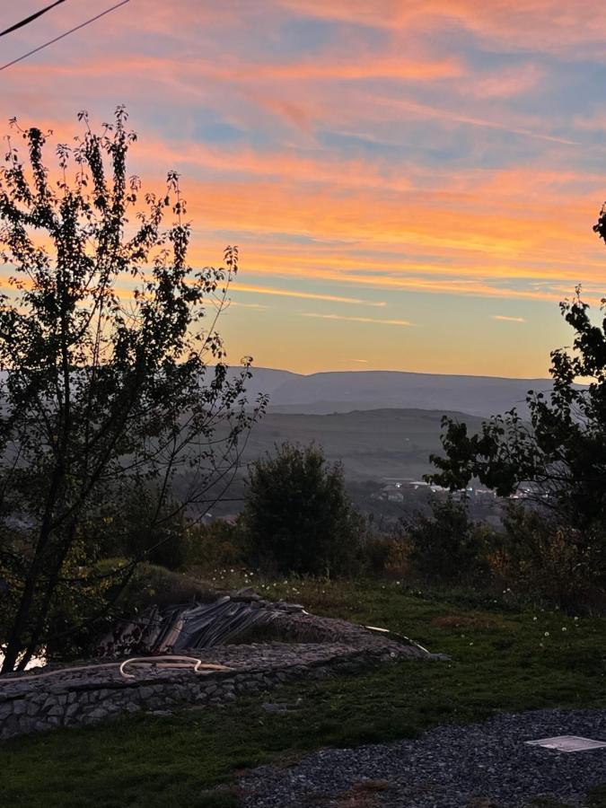 Caravans Park & Glamping Tents In The Vineyard Villa Turda Luaran gambar