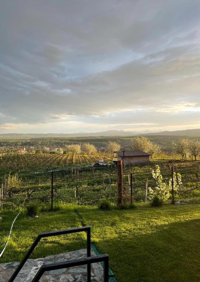 Caravans Park & Glamping Tents In The Vineyard Villa Turda Luaran gambar