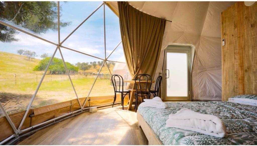 Caravans Park & Glamping Tents In The Vineyard Villa Turda Luaran gambar